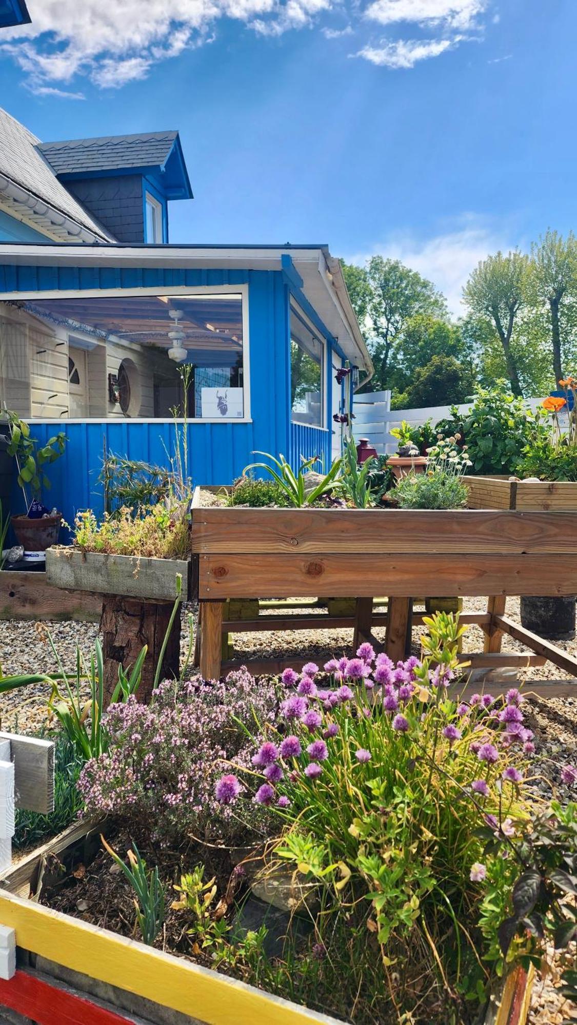 La Petite Maison En Bois Bleue Quiberville Kültér fotó